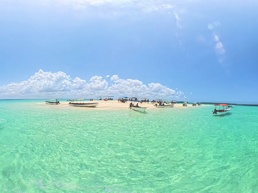 Barriera corallina di Zanzibar