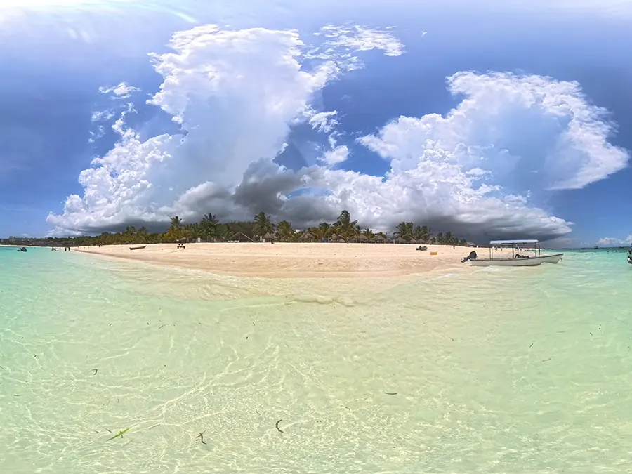 Spezie locali di Zanzibar: cannella, chiodi di garofano e vaniglia