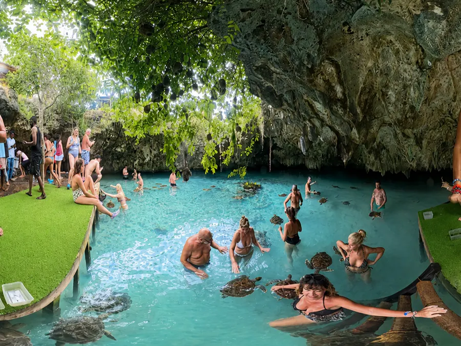 Guida locale durante il tour delle spezie a Zanzibar